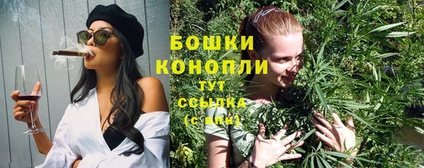 винт Инсар