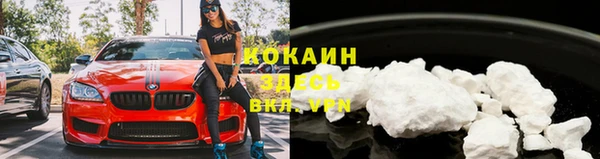 винт Инсар