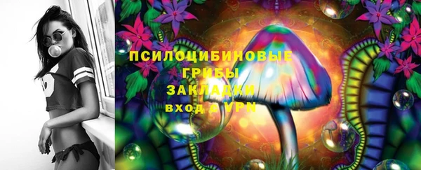 кристаллы Инта