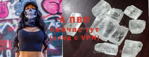 винт Инсар