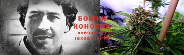 винт Инсар