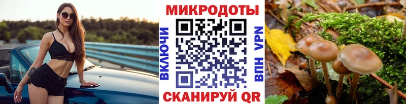 Псилоцибиновые грибы Psilocybine cubensis  даркнет сайт  hydra ссылка  Черкесск 